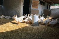 IMG-9479 IMG-9479