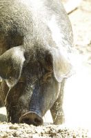 _IMG5635 _IMG5635